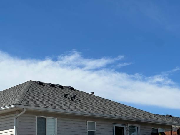 Trusted Carver, MN Roofing Service  Experts